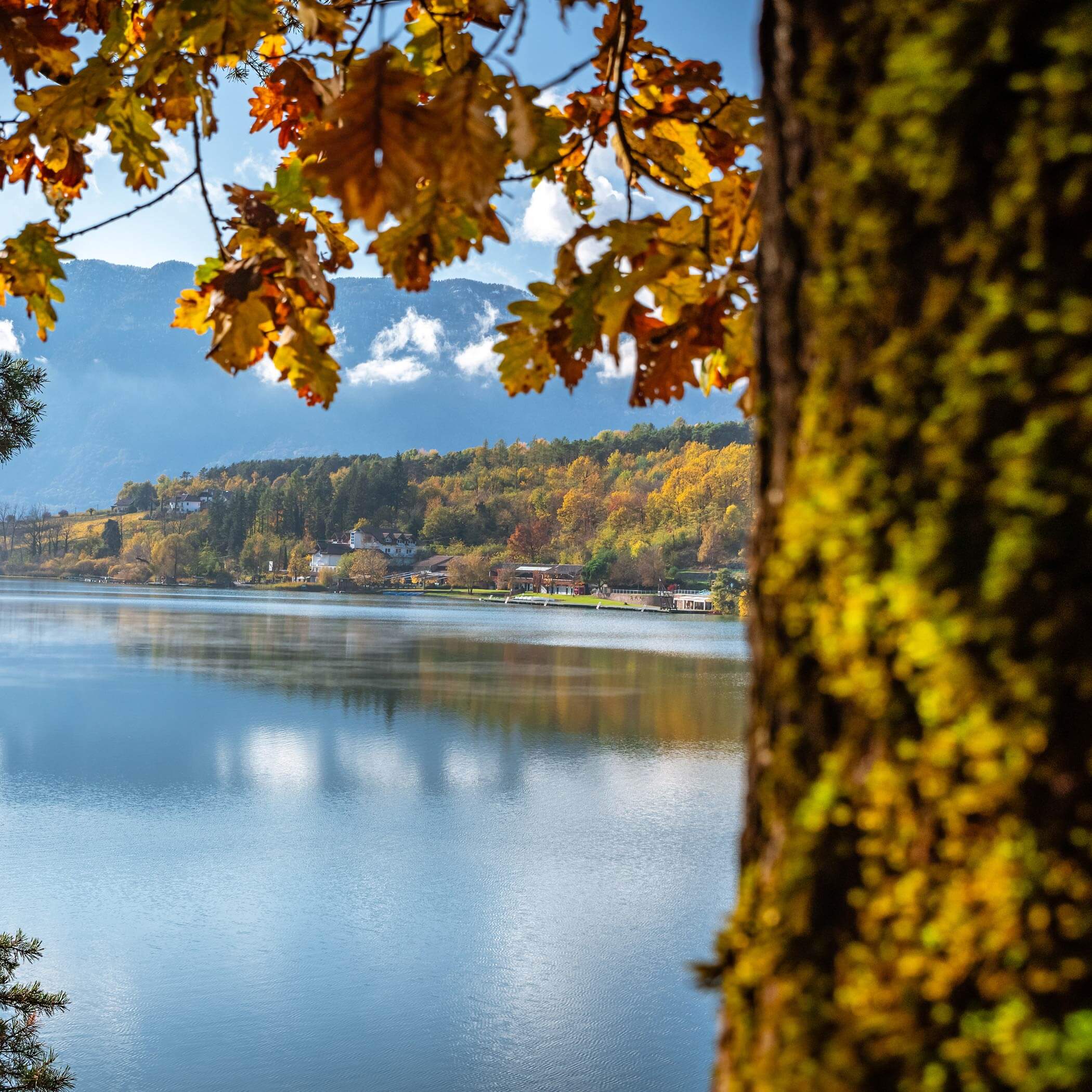 Lago di Monticolo