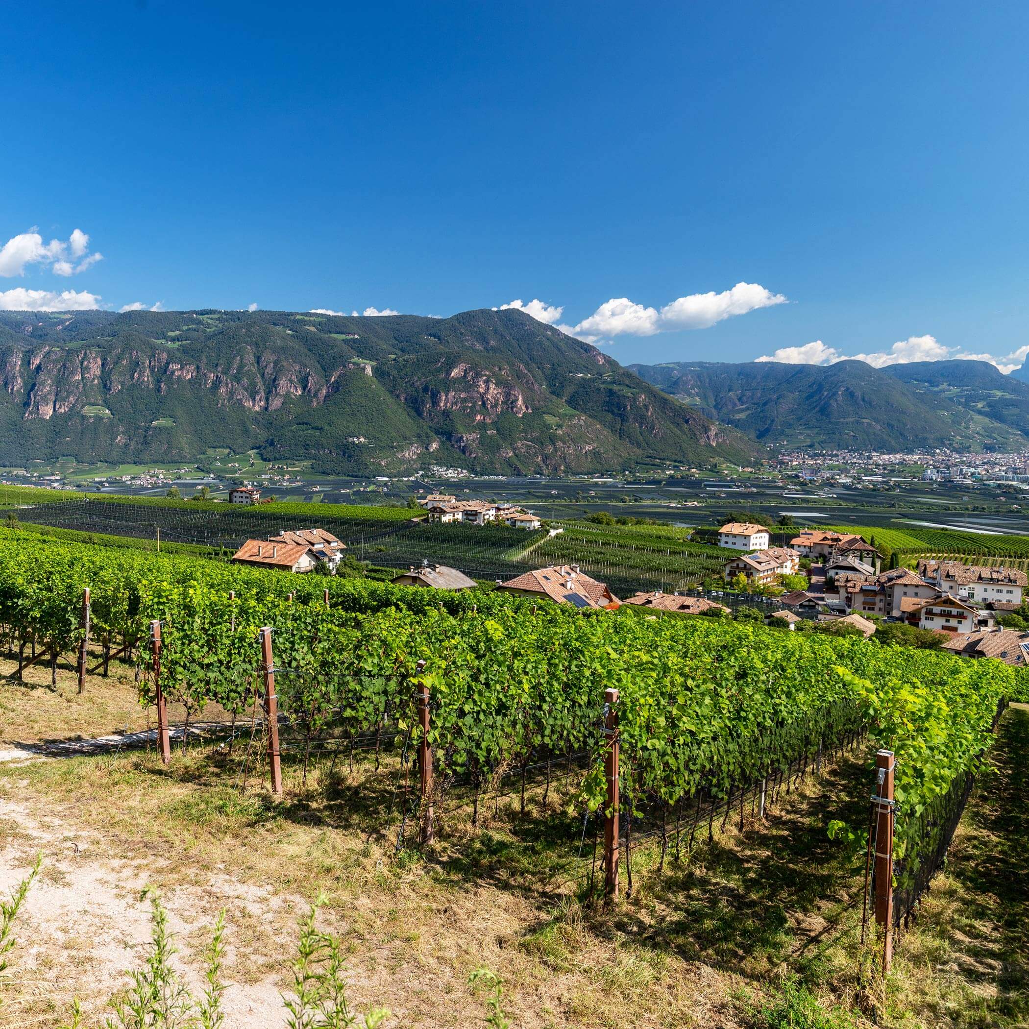 Appiano sulla Strada del Vino dell’Alto Adige