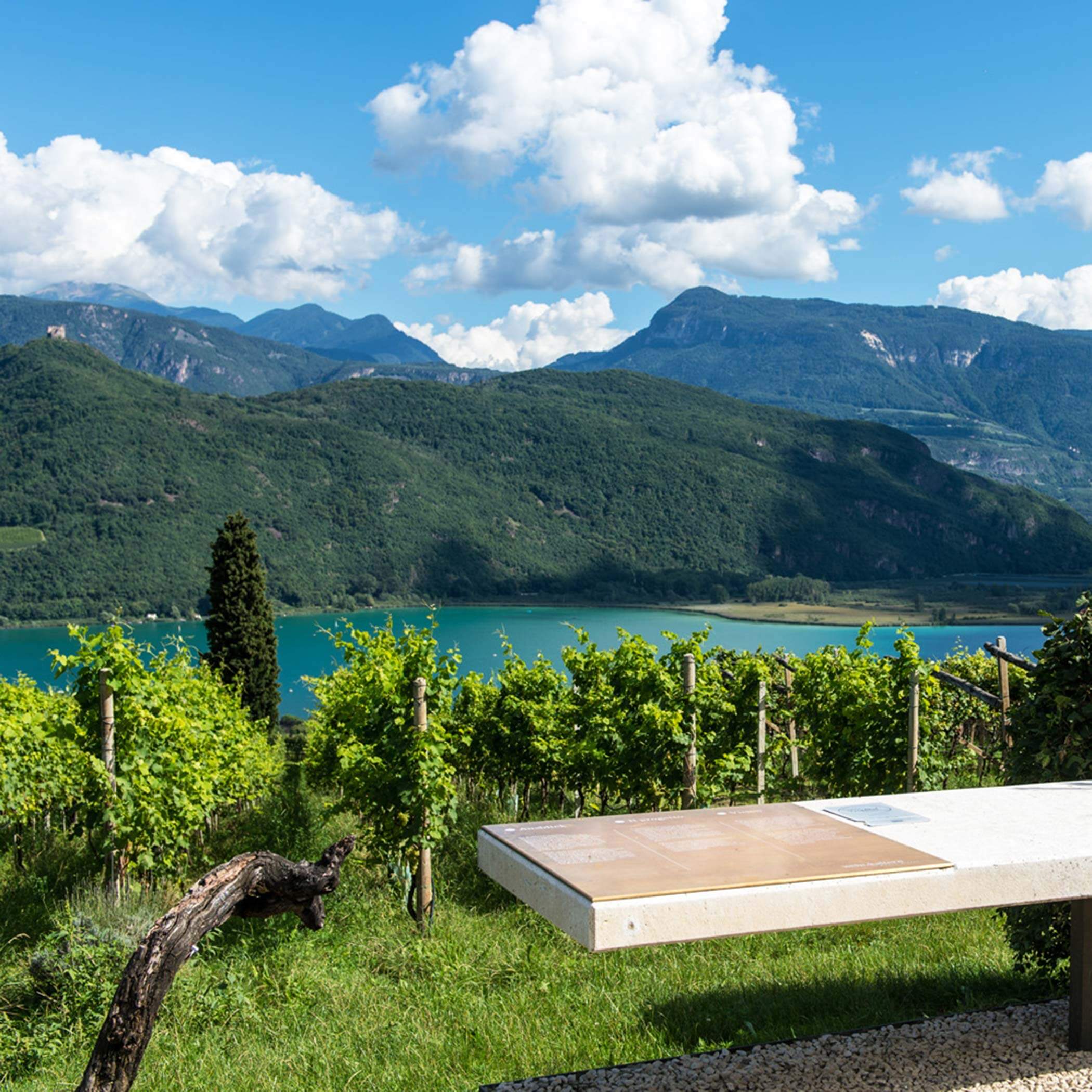 Punto panoramico - Caldaro Punto panoramico - Caldaro