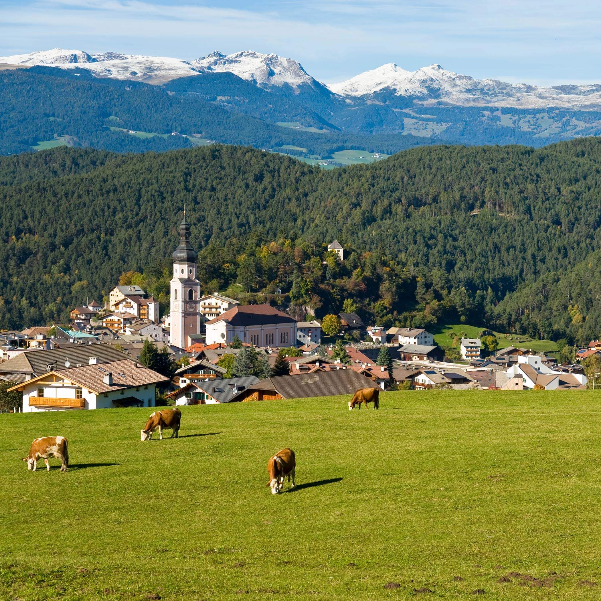Castelrotto in estate