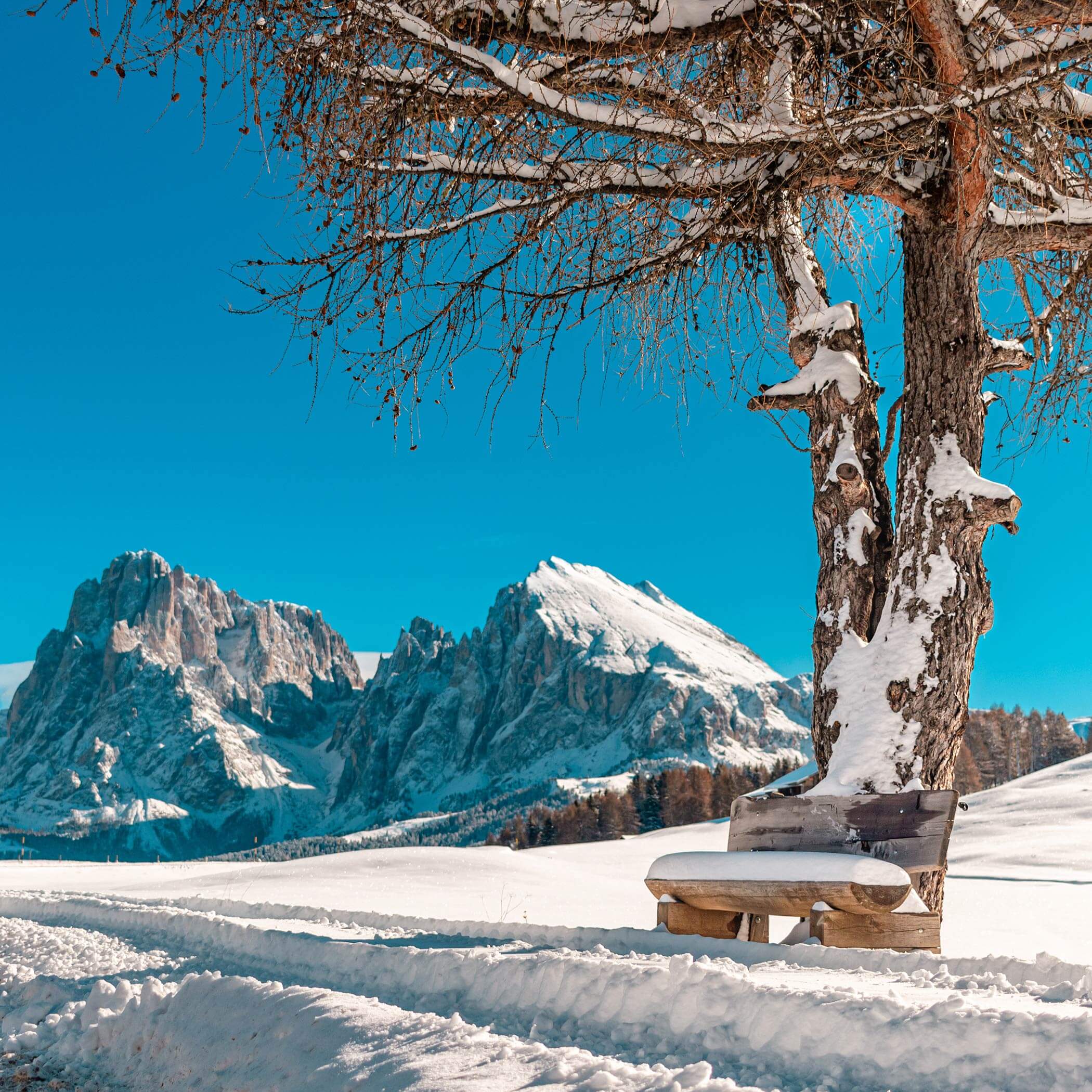 Ortisei in Val Gardena, inverno