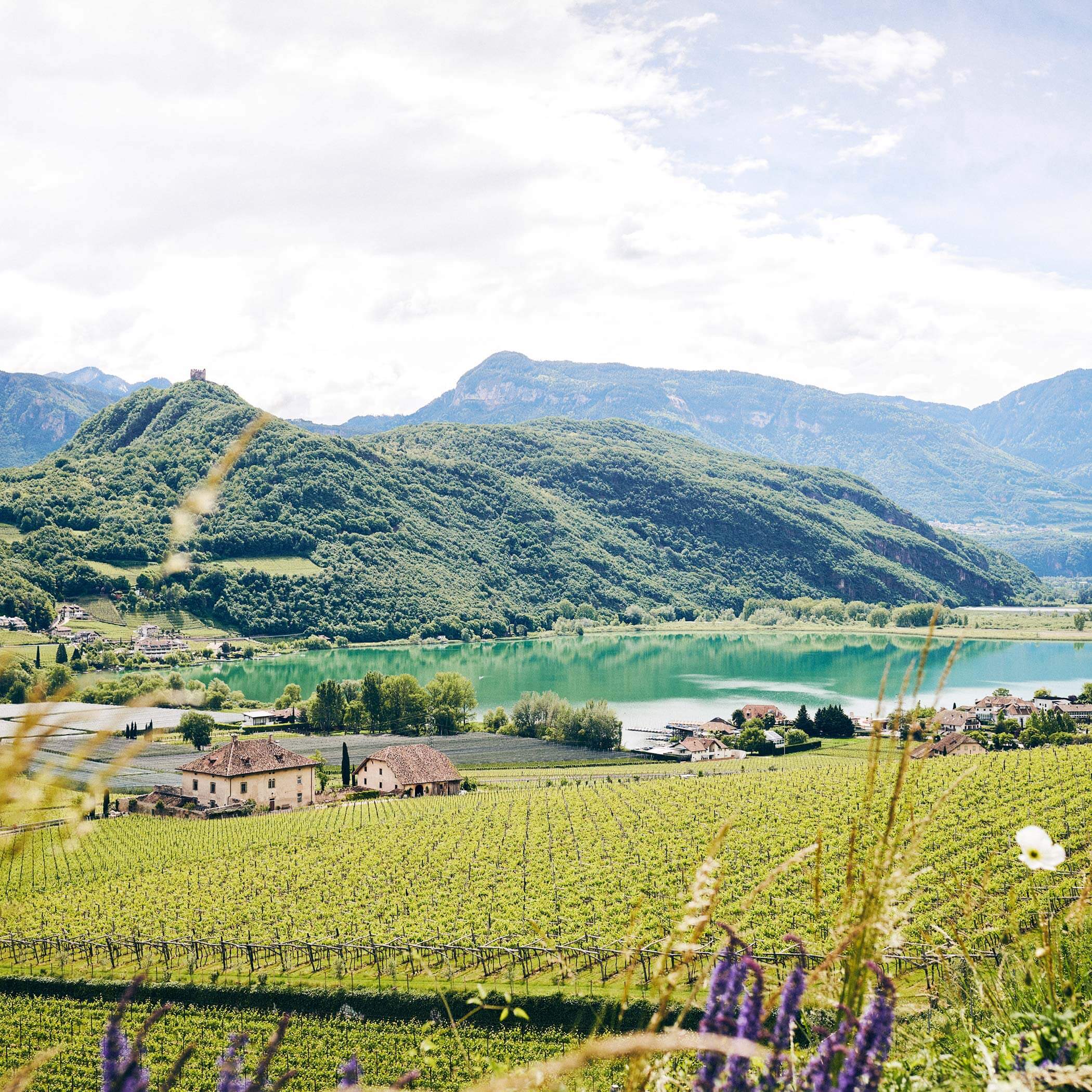Lago di Caldaro, Strada del Vino Lago di Caldaro, Strada del Vino