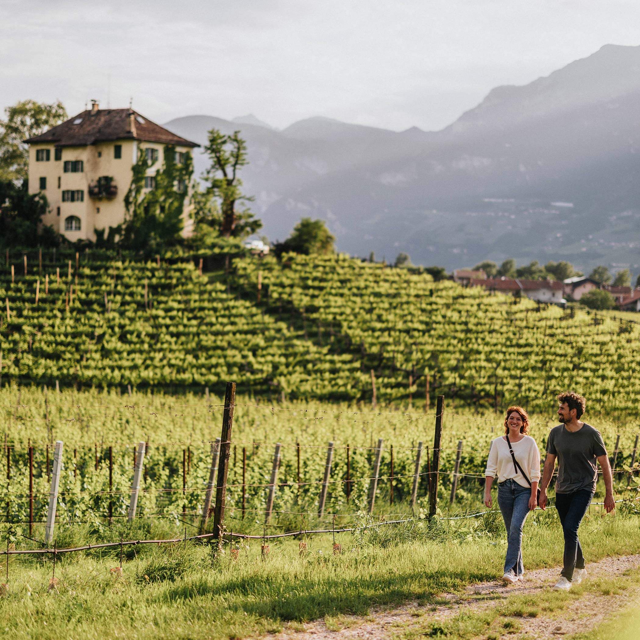 Strada del Vino - Escursionismo Strada del Vino - Escursionismo